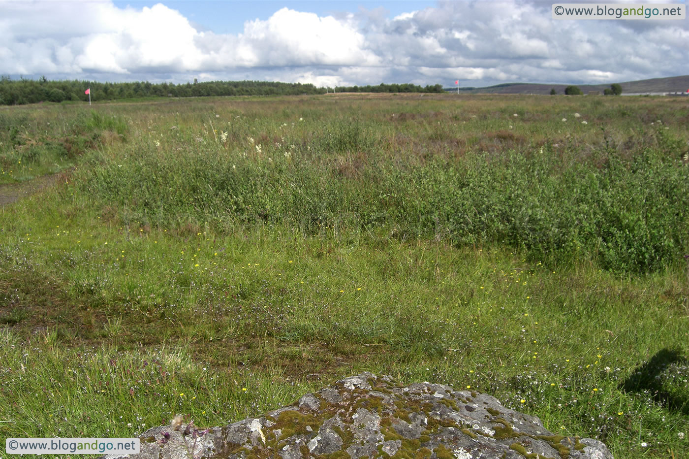 Culloden - The Keppoch Stone with government lines ahead